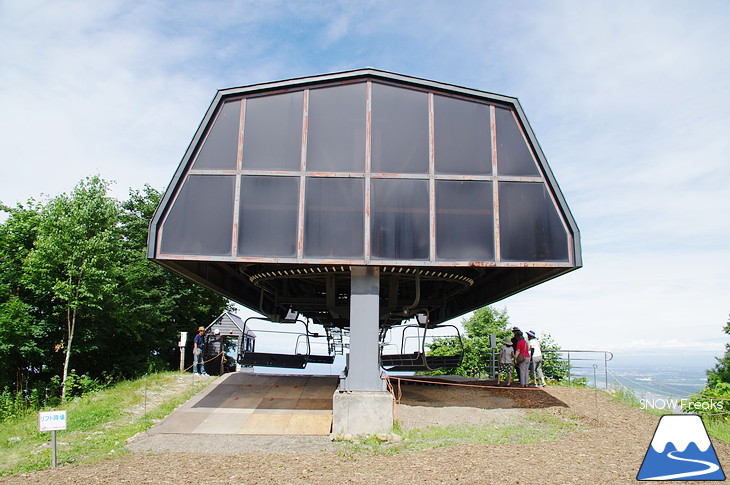 オーンズ春香山ゆり園 今年も綺麗な『ゆり』のシーズン到来♪